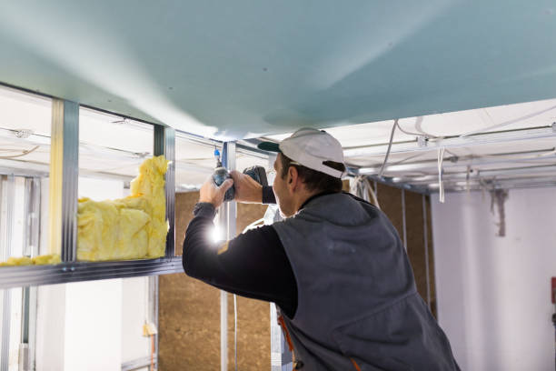Best Insulation Maintenance and Repair in Stewart Manor, NY